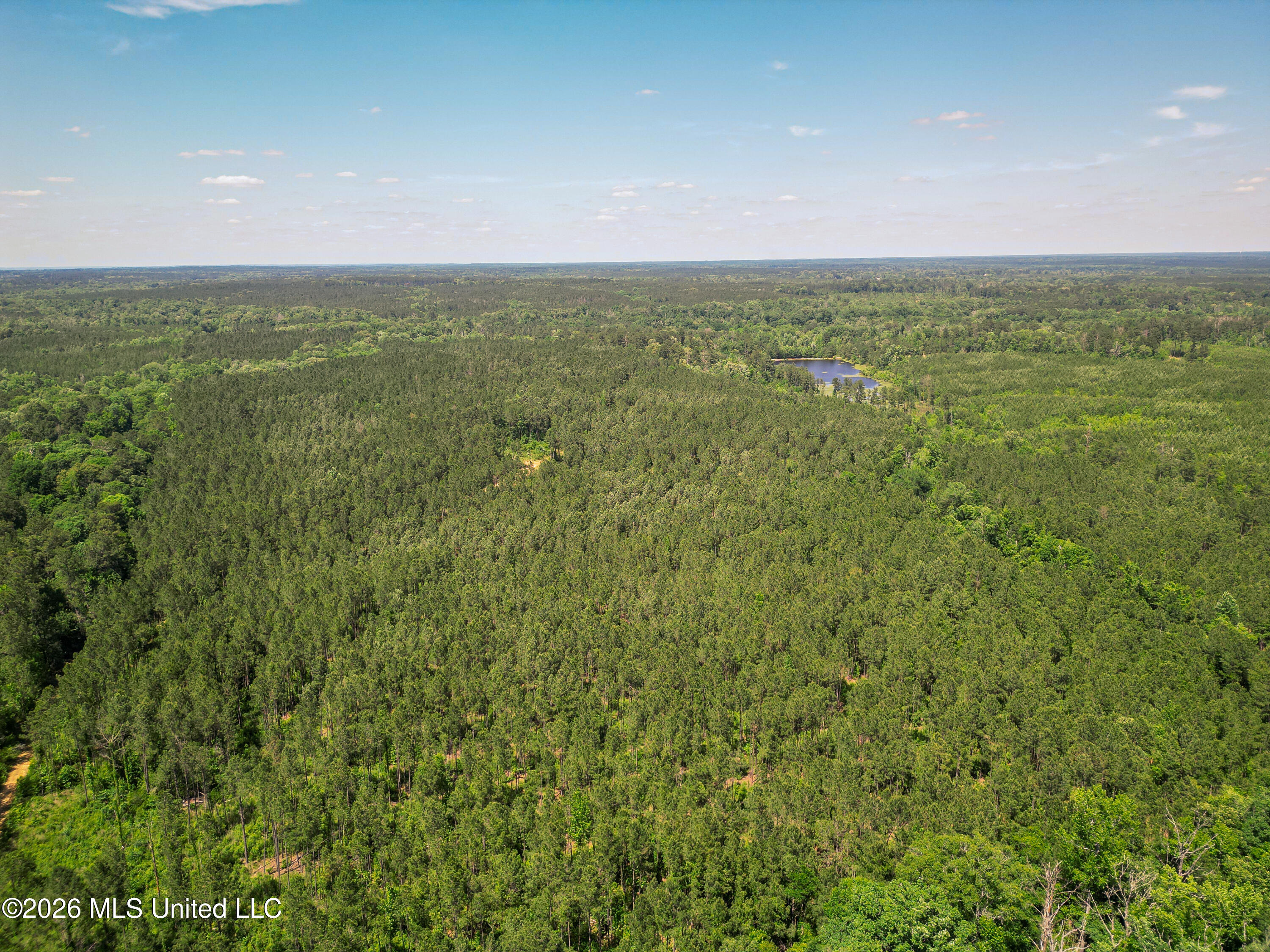 0 Graves Road Liberty, MS 39645 - Photo 38 of 46 DJI_0415