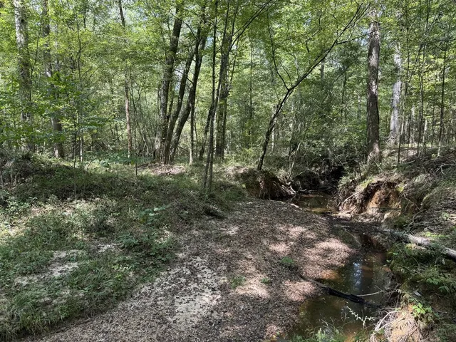 $475,000 | 0 Graves Road, Liberty, MS 39645