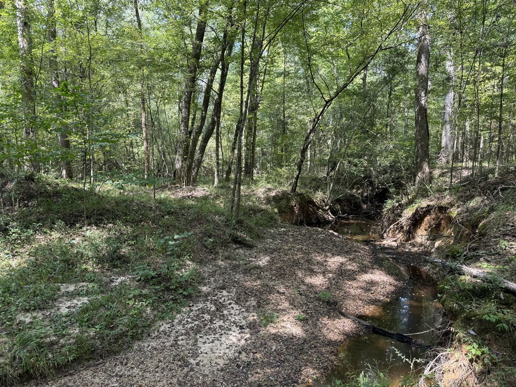 0 Graves Road Liberty, MS 39645 - Photo 39 of 50 Photo 39