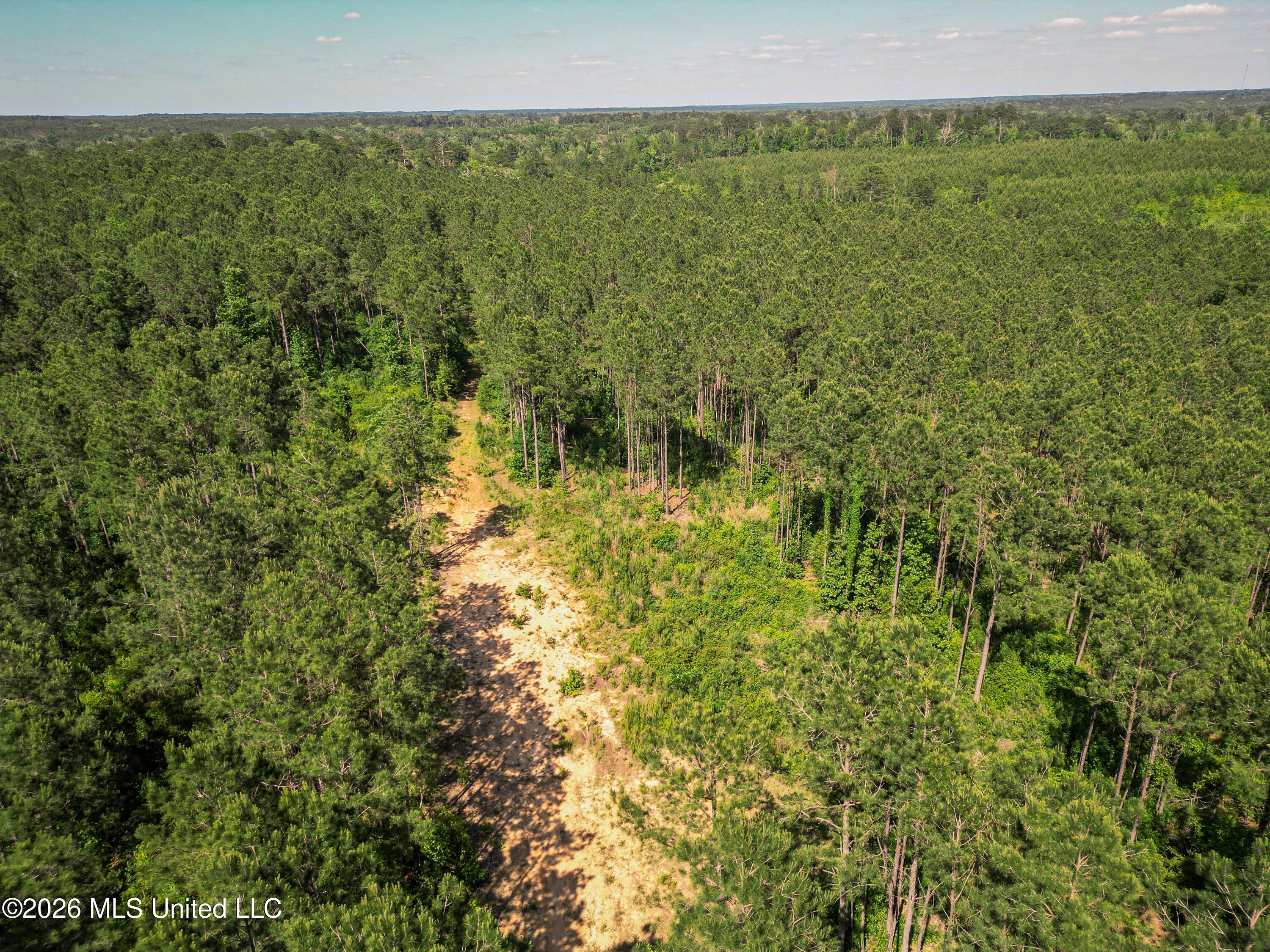 0 Graves Road Liberty, MS 39645 - Photo 39 of 46 DJI_0419