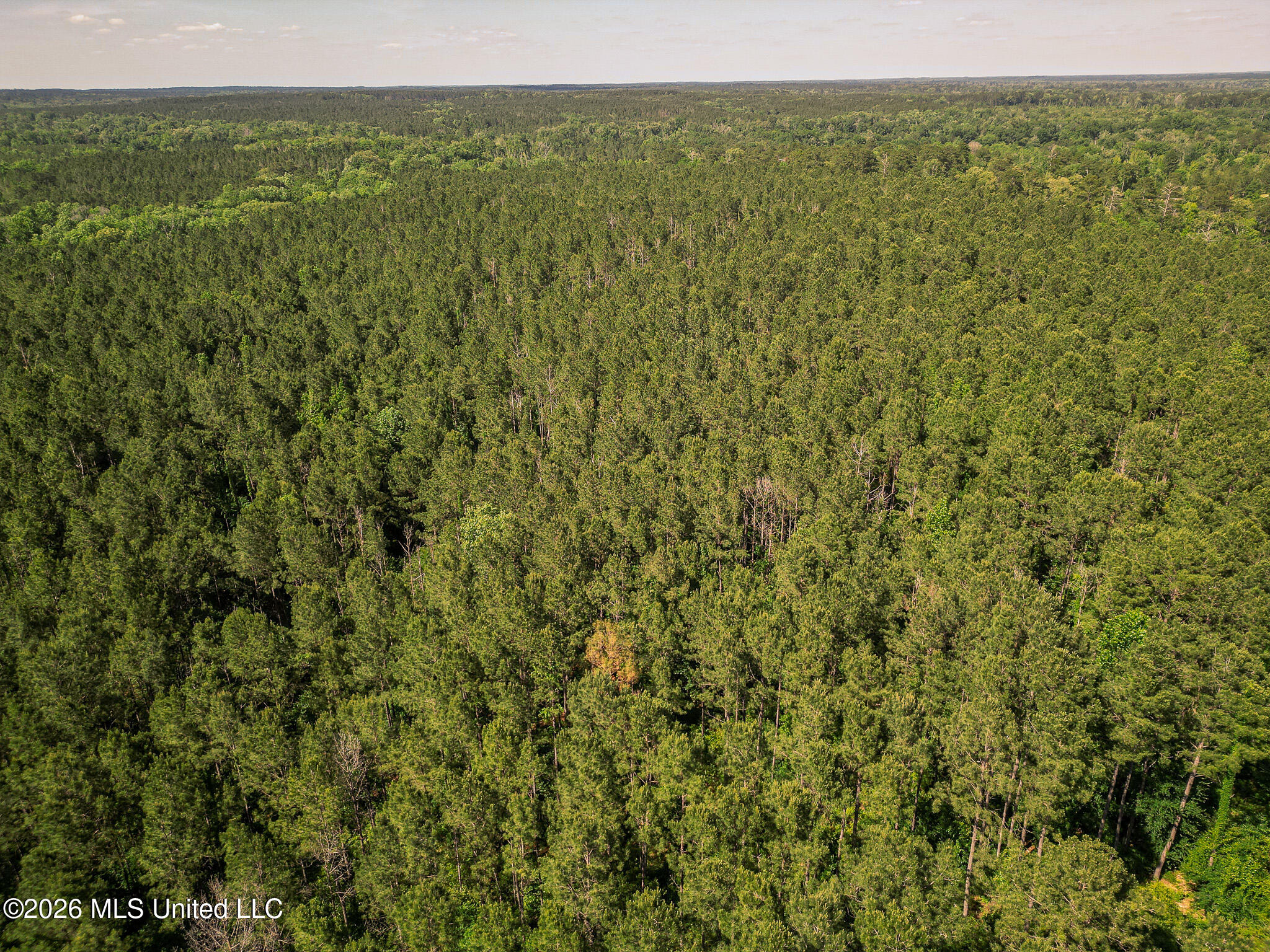 0 Graves Road Liberty, MS 39645 - Photo 40 of 46 DJI_0420