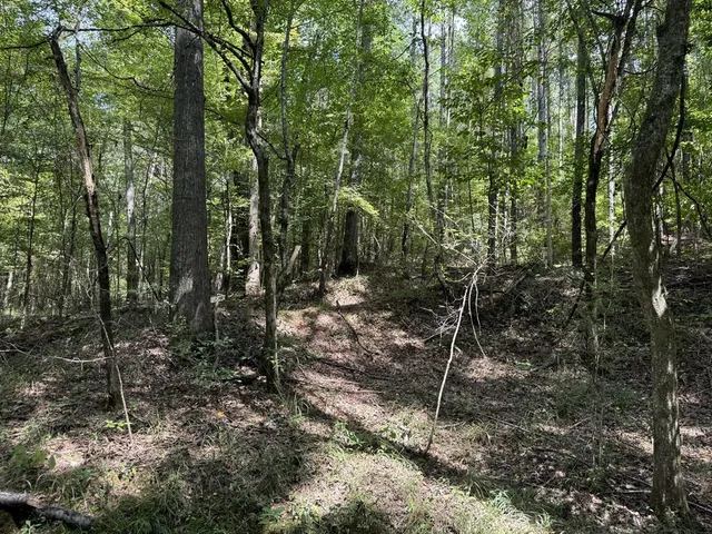 $475,000 | 0 Graves Road, Liberty, MS 39645
