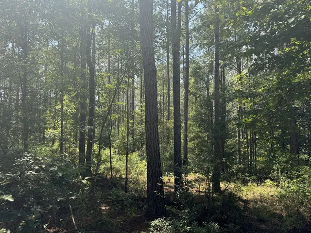 $475,000 | 0 Graves Road, Liberty, MS 39645