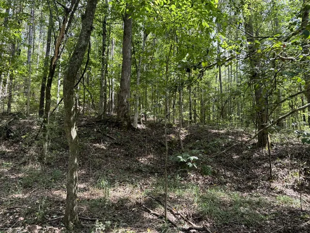 $475,000 | 0 Graves Road, Liberty, MS 39645