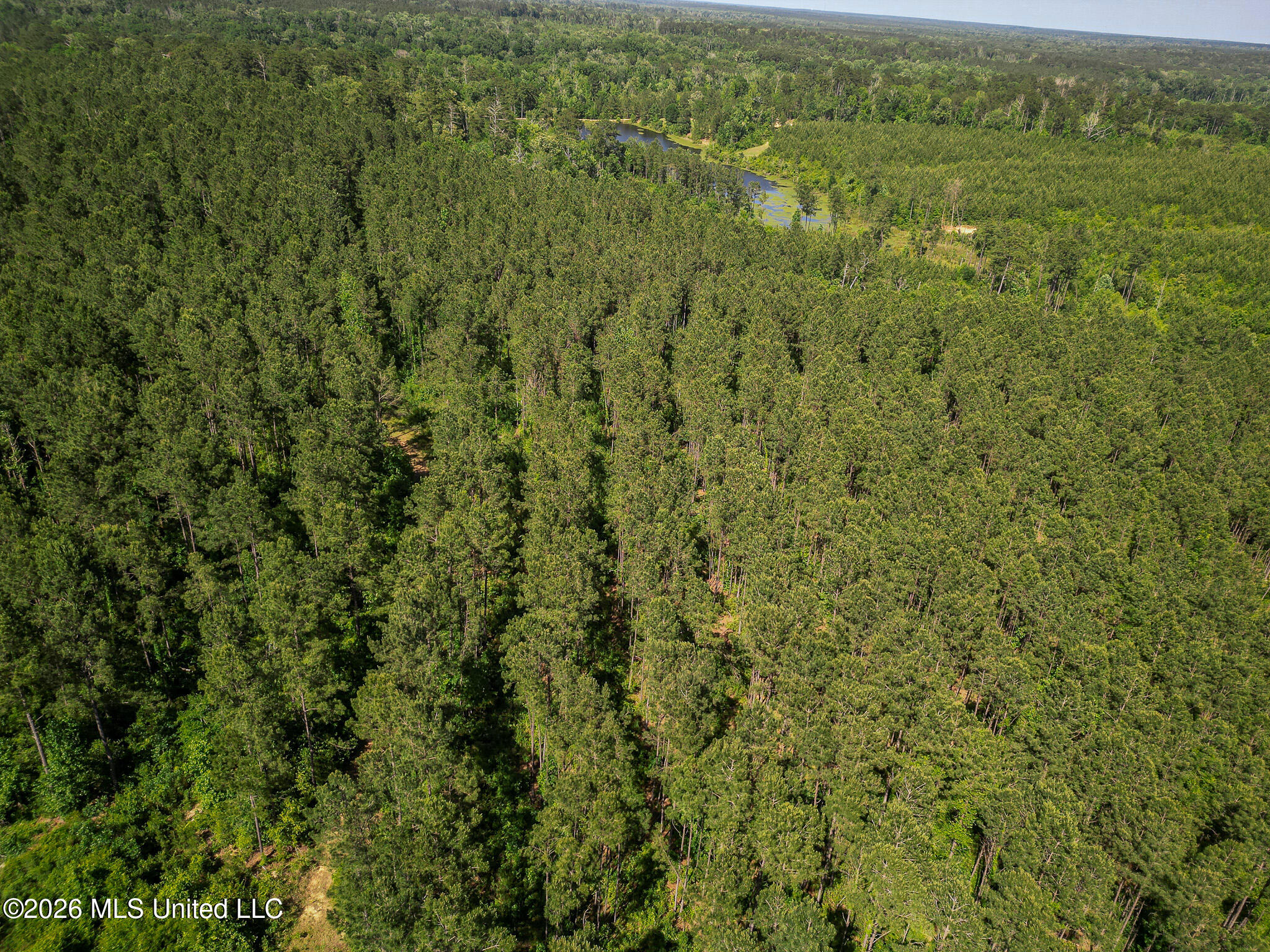 0 Graves Road Liberty, MS 39645 - Photo 41 of 46 DJI_0421