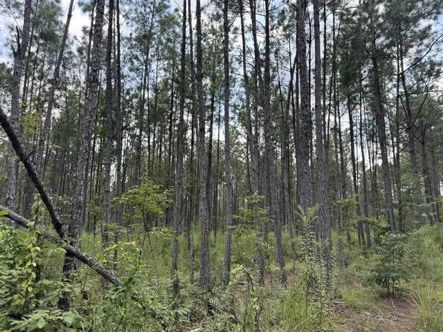 $475,000 | 0 Graves Road, Liberty, MS 39645