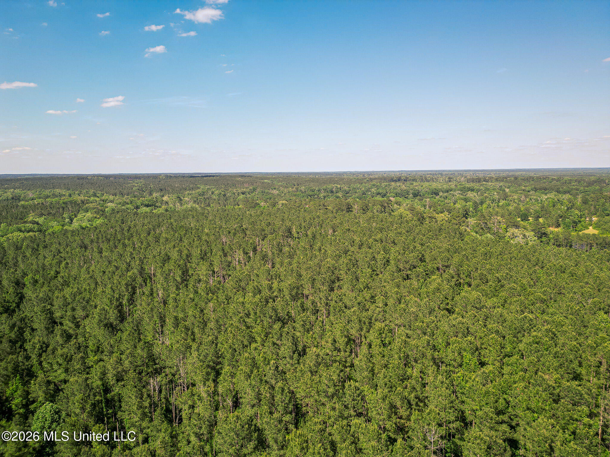 0 Graves Road Liberty, MS 39645 - Photo 42 of 46 DJI_0424