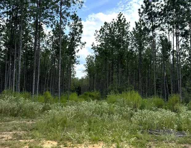 $475,000 | 0 Graves Road, Liberty, MS 39645