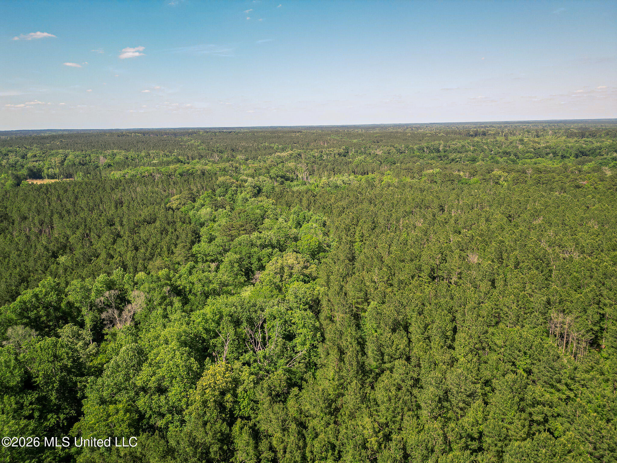 0 Graves Road Liberty, MS 39645 - Photo 43 of 46 DJI_0425