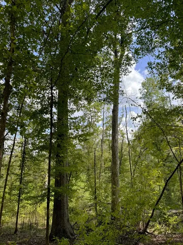 $475,000 | 0 Graves Road, Liberty, MS 39645