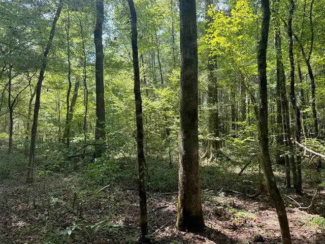 $475,000 | 0 Graves Road, Liberty, MS 39645