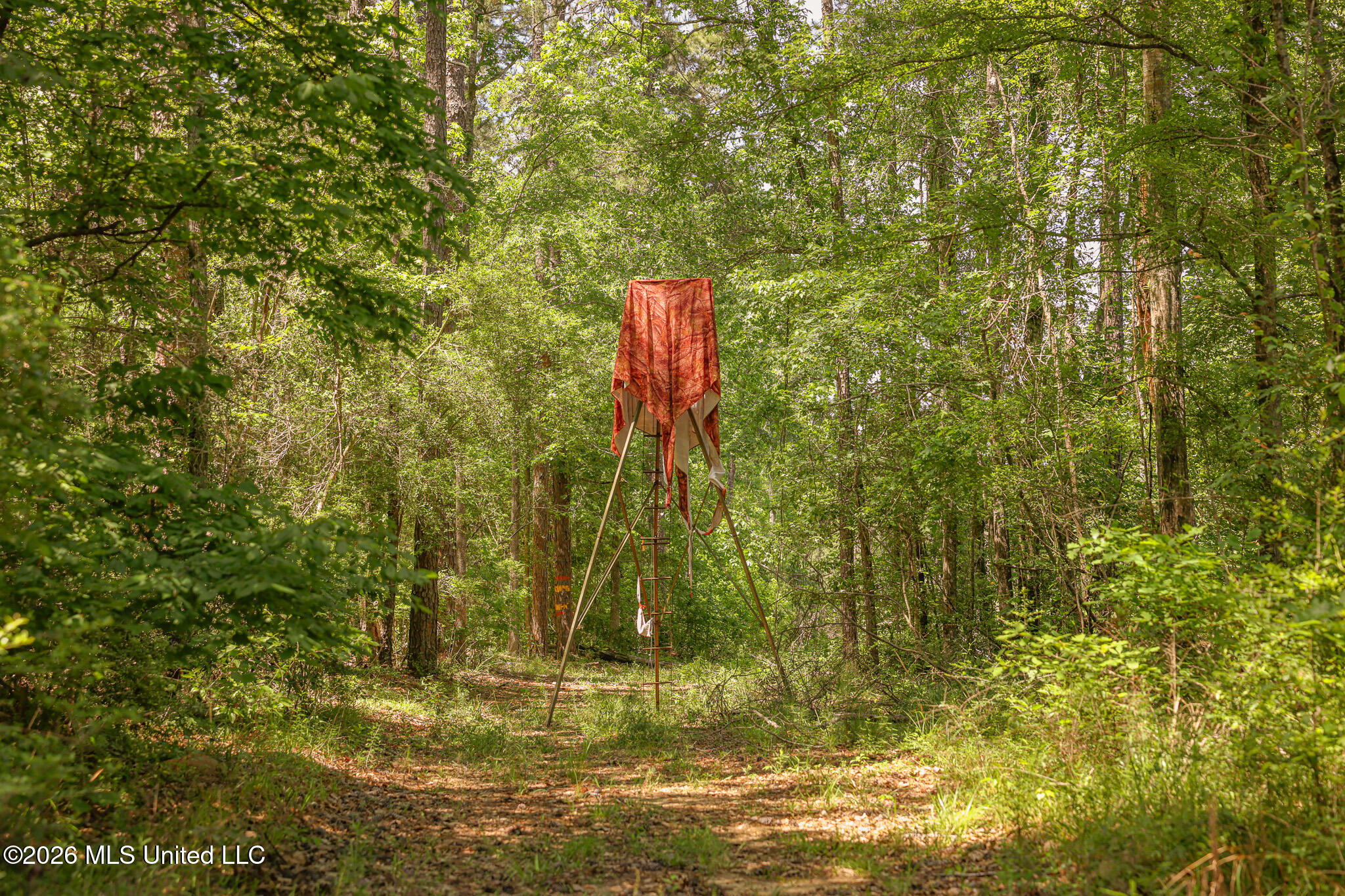 0 Graves Road Liberty, MS 39645 - Photo 5 of 46 EL0A0406