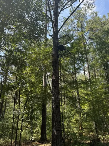 $475,000 | 0 Graves Road, Liberty, MS 39645