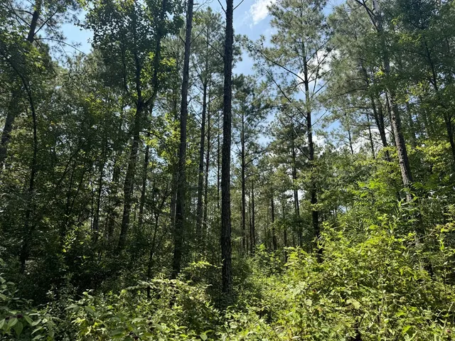 $475,000 | 0 Graves Road, Liberty, MS 39645