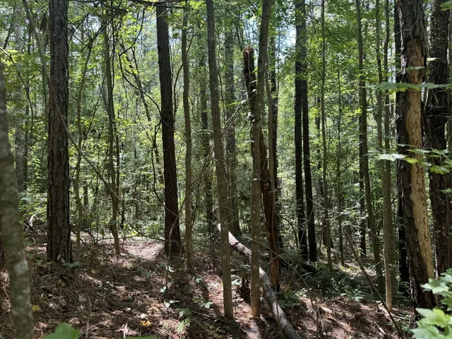 $475,000 | 0 Graves Road, Liberty, MS 39645