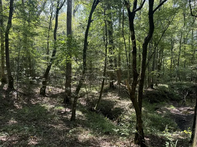 $475,000 | 0 Graves Road, Liberty, MS 39645