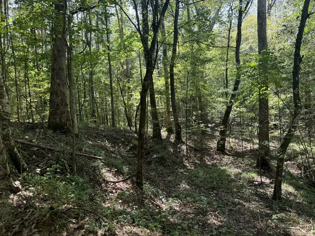 $475,000 | 0 Graves Road, Liberty, MS 39645