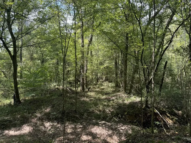 $475,000 | 0 Graves Road, Liberty, MS 39645