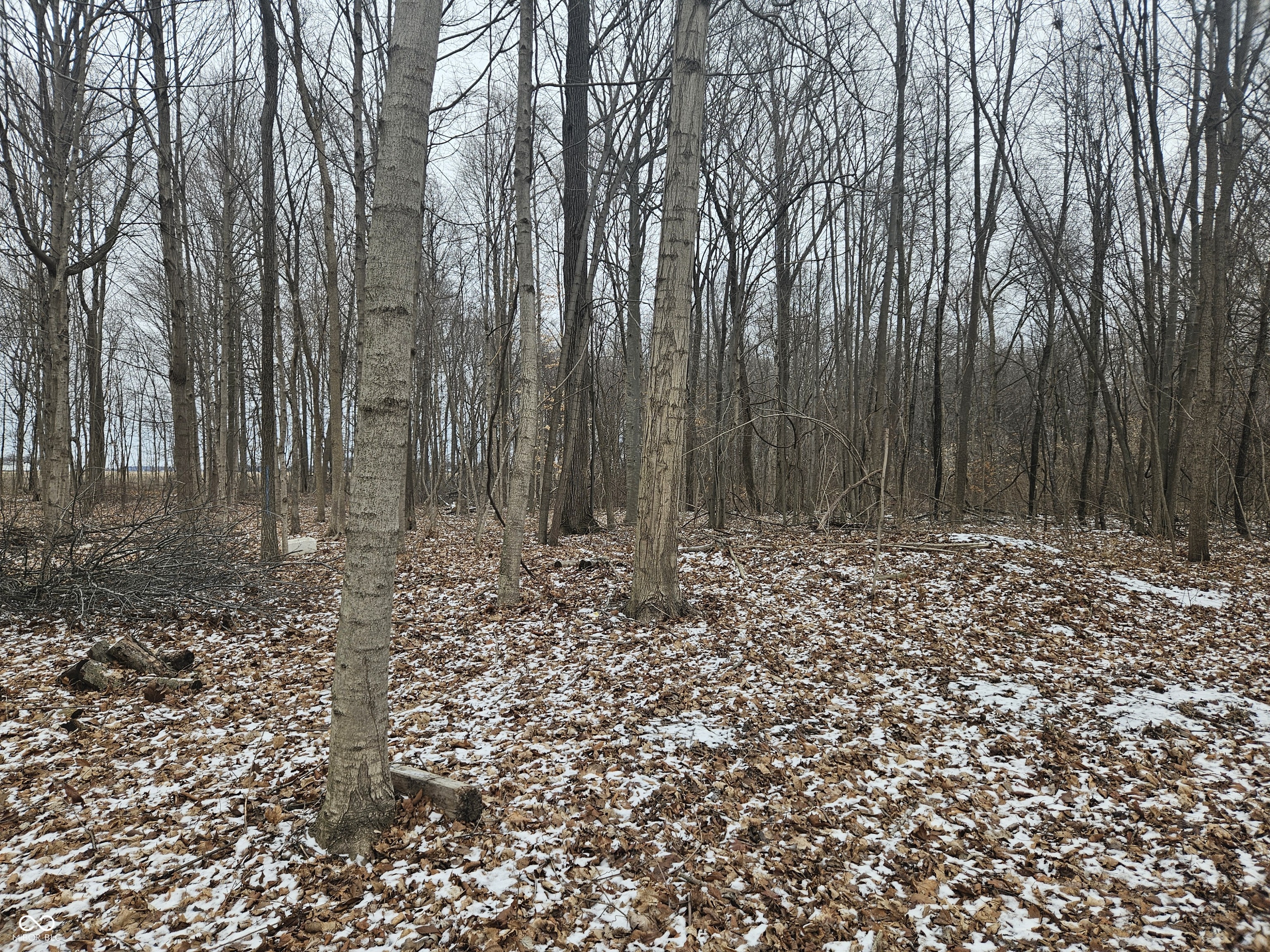 4148 Highway 28 Tipton, IN 46072 - Photo 3 of 4