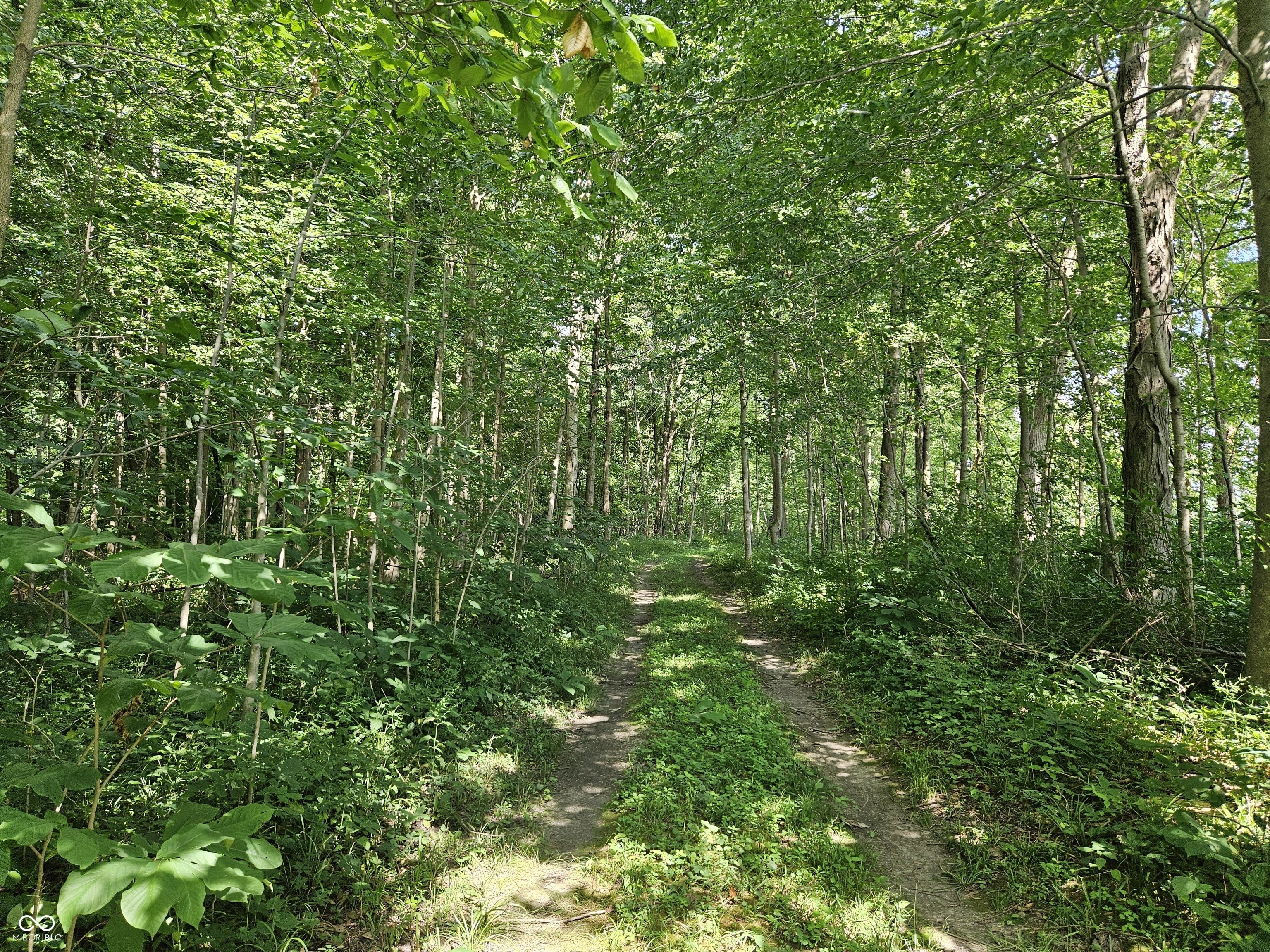 4148 Highway 28 Tipton, IN 46072 - Photo 4 of 4