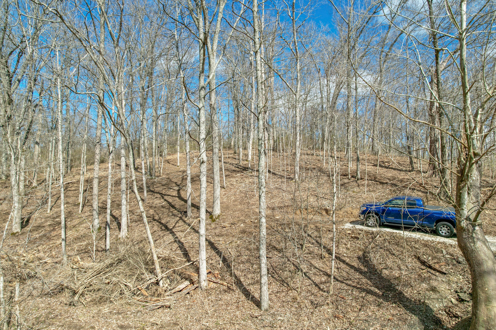 Lot 1 Idlewild Road Burlington, KY 41005 - Photo 9 of 24 Gallery Image 9