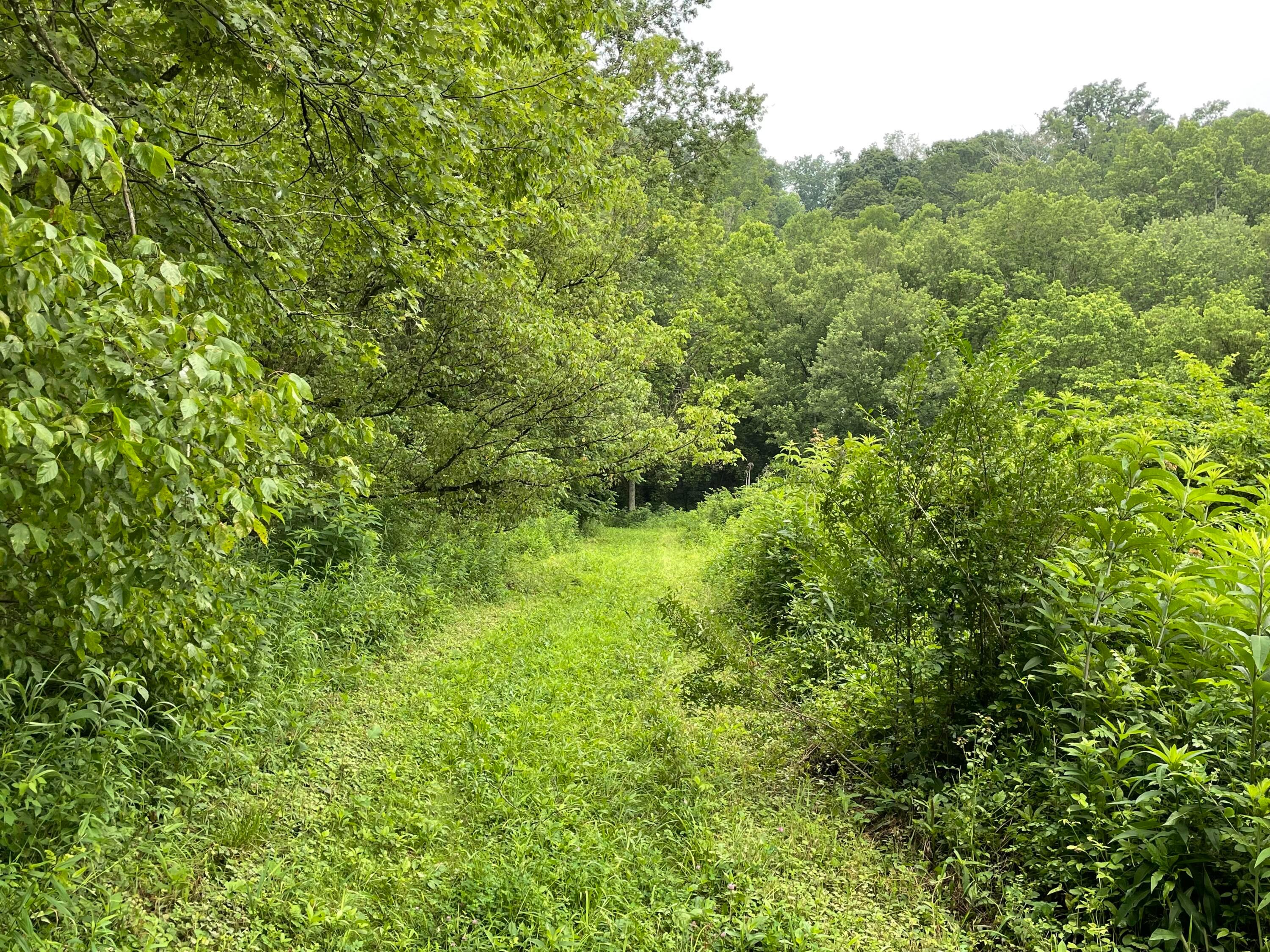 960 Rockcamp Road New Marshfield, OH 45766 - Photo 65 of 73 66) 72666-6a31fff563348