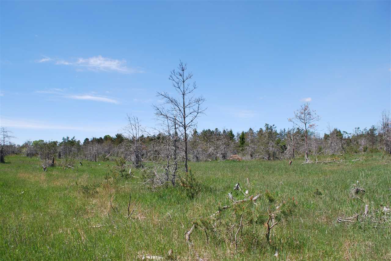 Parcel #2-5 Southeast Parcel Road Kalkaska, MI 49646 - Photo 2 of 10