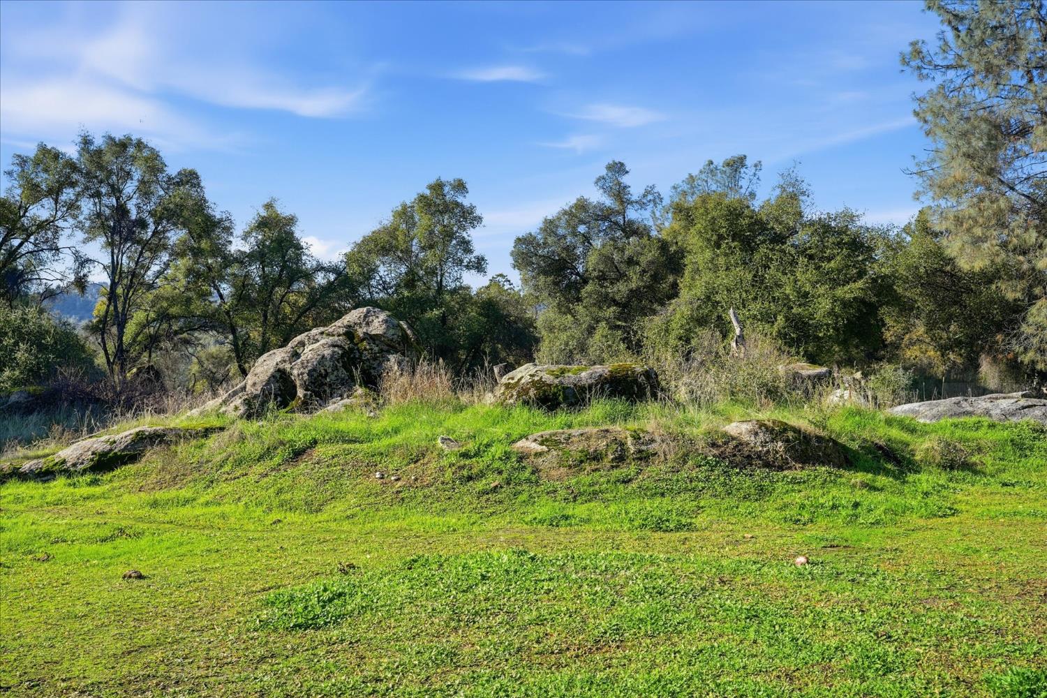 4001 Pacific Bars Road Mariposa, CA 95338 - Photo 40 of 43