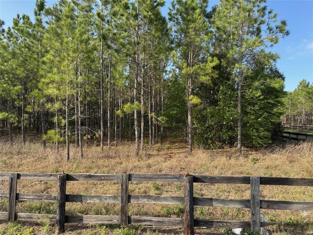 44 State Road Eustis, FL 32736 - Photo 1 of 6 Gallery Image 1