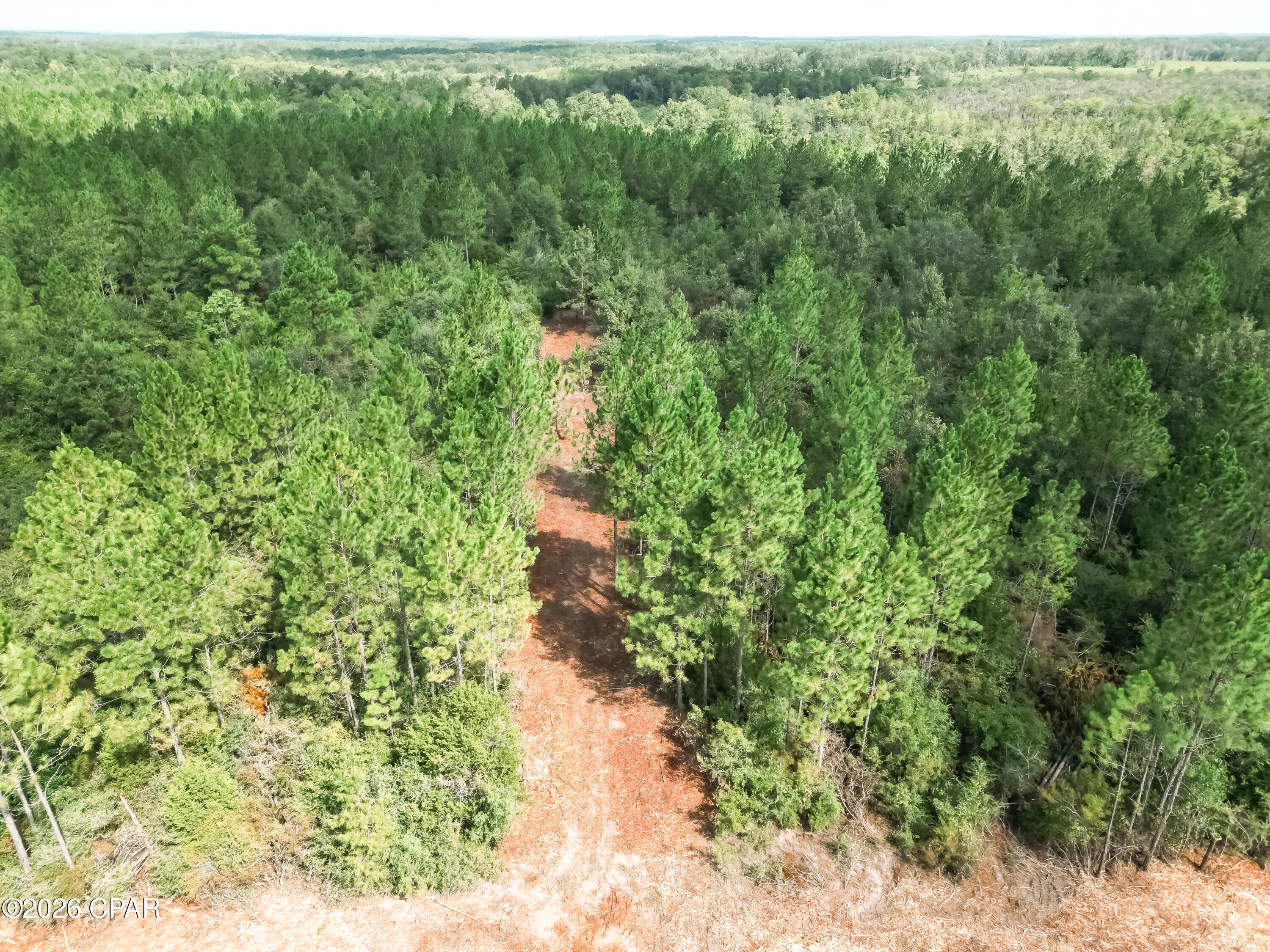 2 Douglas Ferry Road Bonifay, FL 32425 - Photo 11 of 24 Gallery Image 11