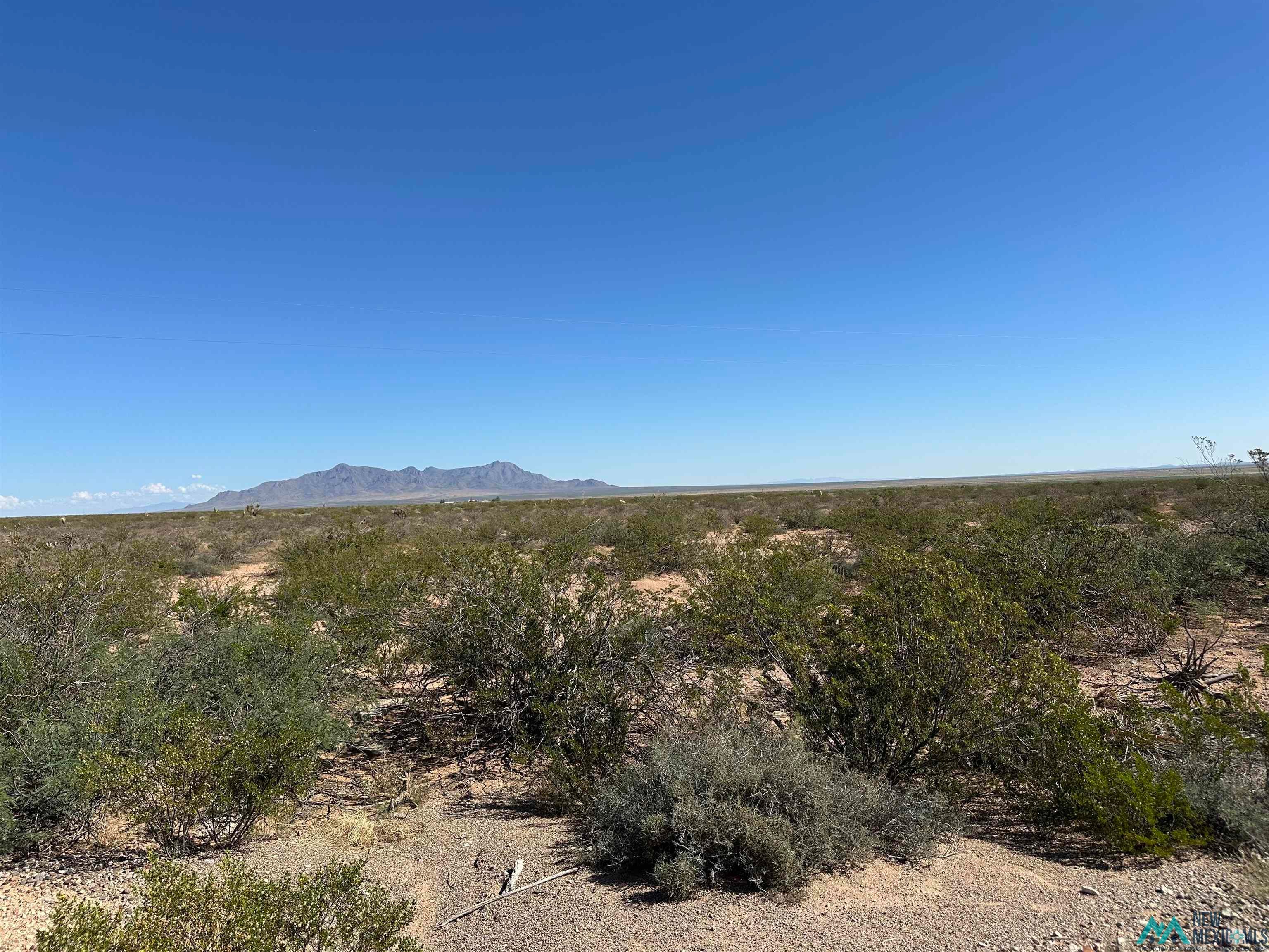 28025 Sur Luna Road Southeast Columbus, NM 88029 - Photo 43 of 66 Gallery Image 43