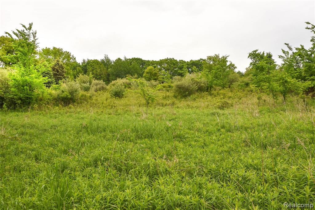 0 Thomas Road Pontiac, MI 48341 - Photo 25 of 30