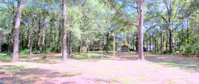 3384 Lacoste Road Mobile, AL 36618 - Photo 21 of 21 Spacious Yard with storage shed.