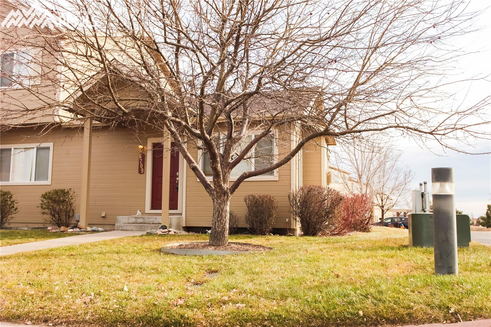6709 Bismark Road Colorado Springs, CO 80922 - Photo 1 of 30 Gallery Image 1