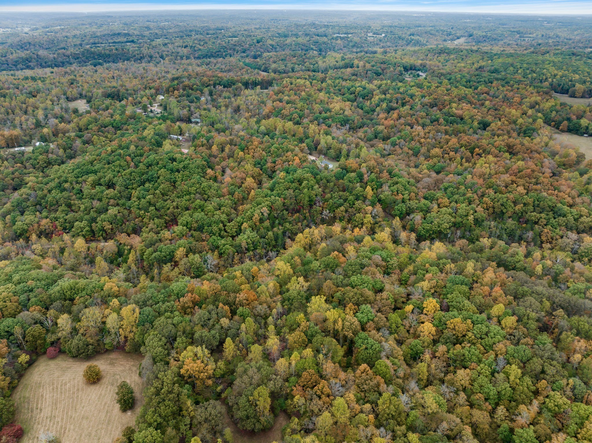 0 Bear Creek Road Bon Aqua, TN 37025 - Photo 19 of 64 an aerial view of forest