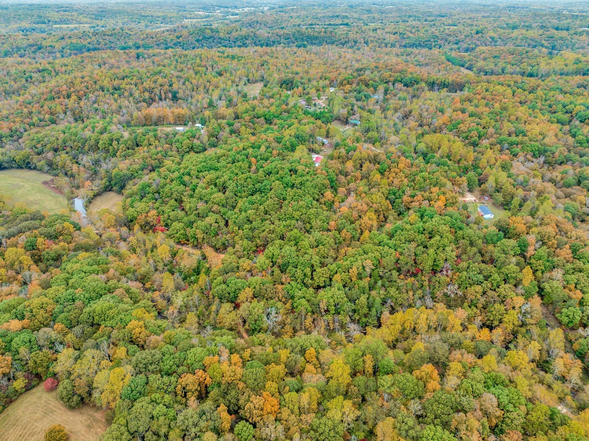 0 Bear Creek Road Bon Aqua, TN 37025 - Photo 39 of 64