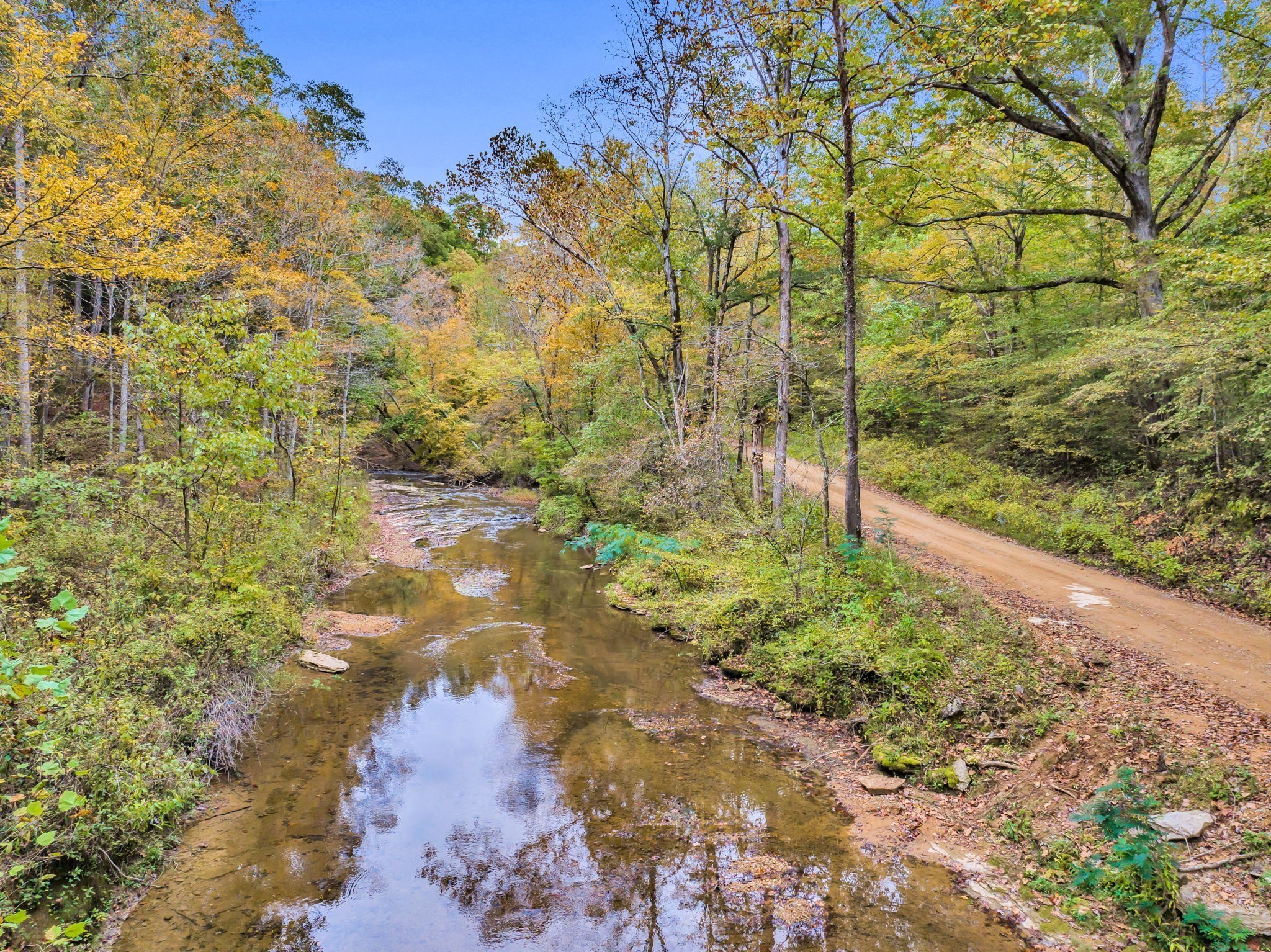 0 Bear Creek Road Bon Aqua, TN 37025 - Photo 5 of 64 a pathway of a yard