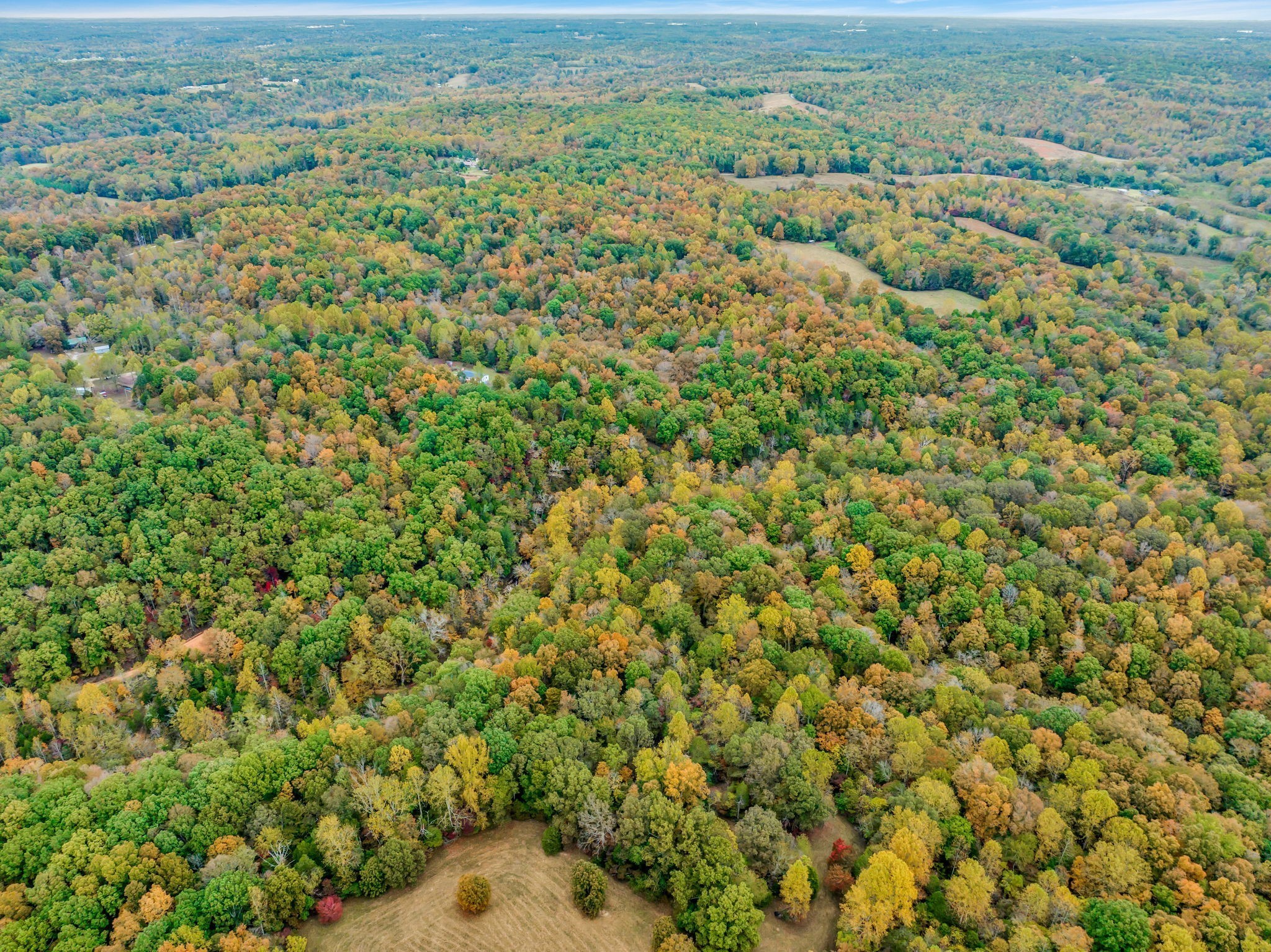 0 Bear Creek Road Bon Aqua, TN 37025 - Photo 55 of 64 an aerial view of a houses with a yard