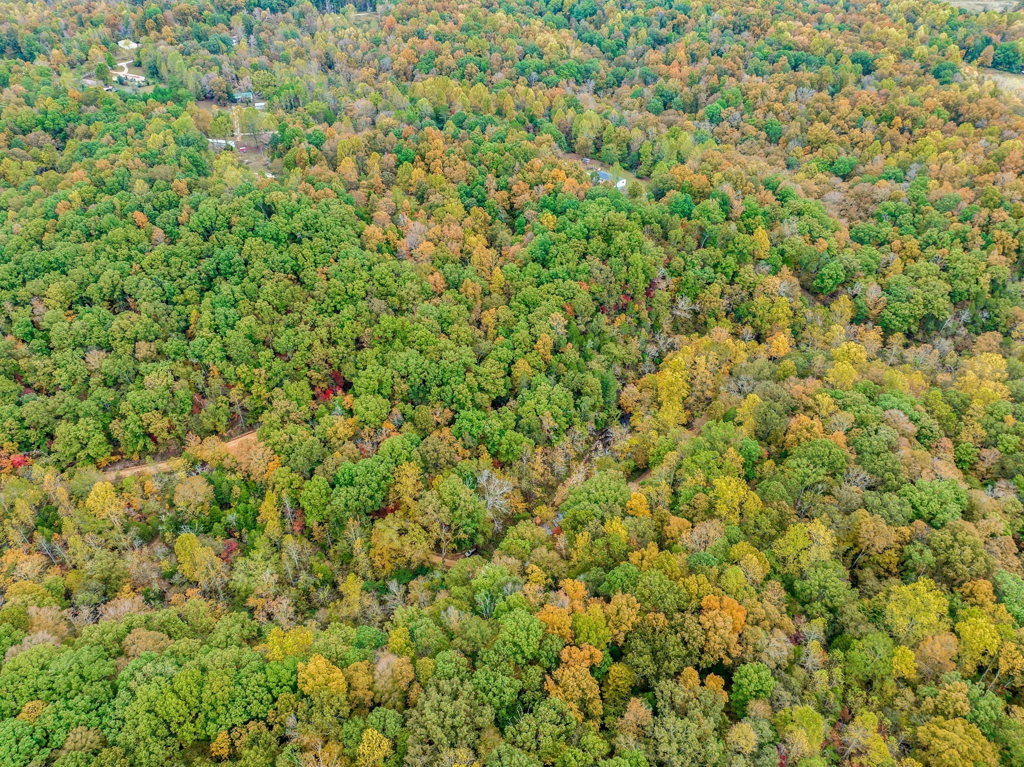 0 Bear Creek Road Bon Aqua, TN 37025 - Photo 56 of 64 a view of a big yard with plants and large trees