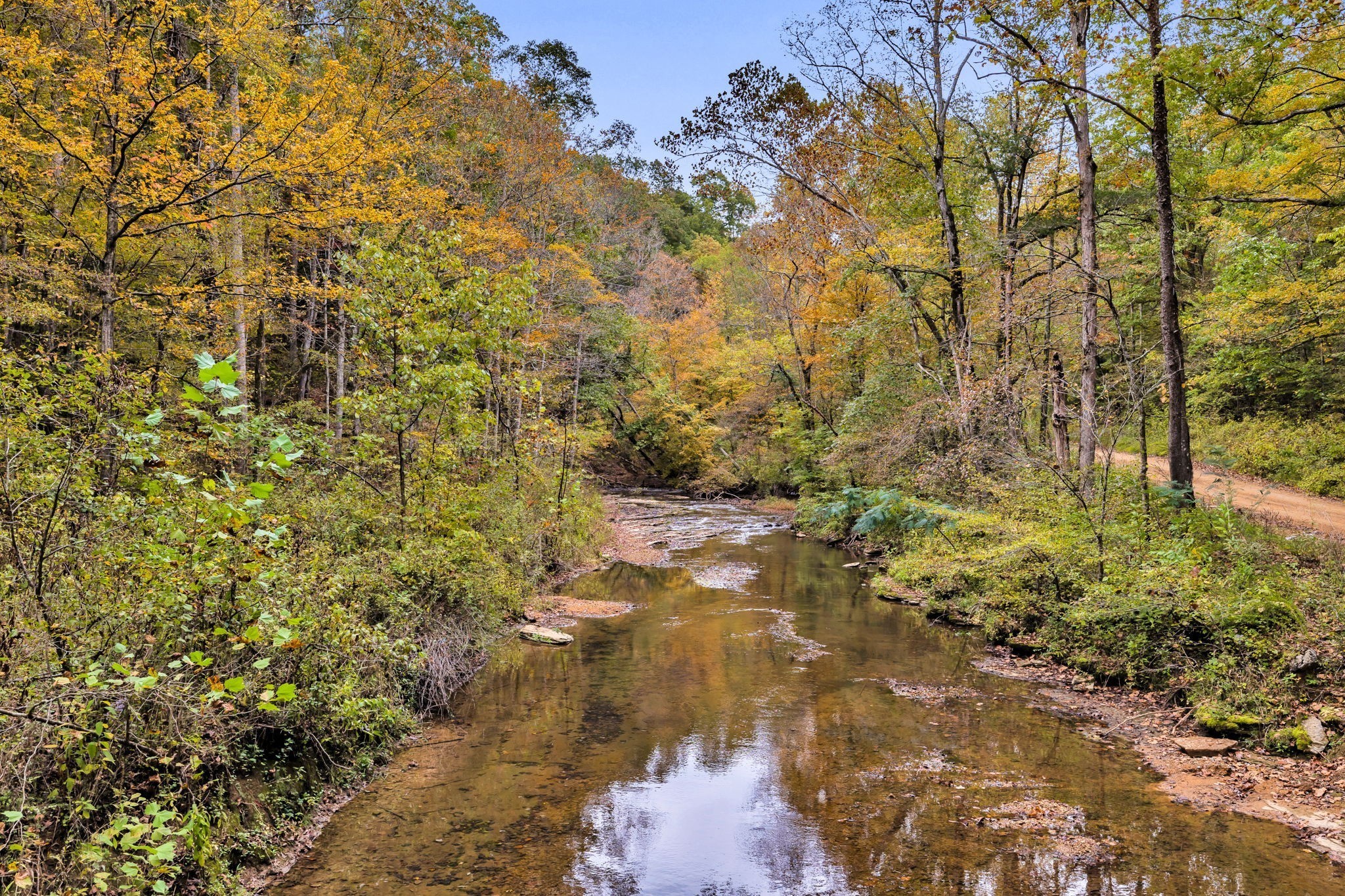 0 Bear Creek Road Bon Aqua, TN 37025 - Photo 58 of 64