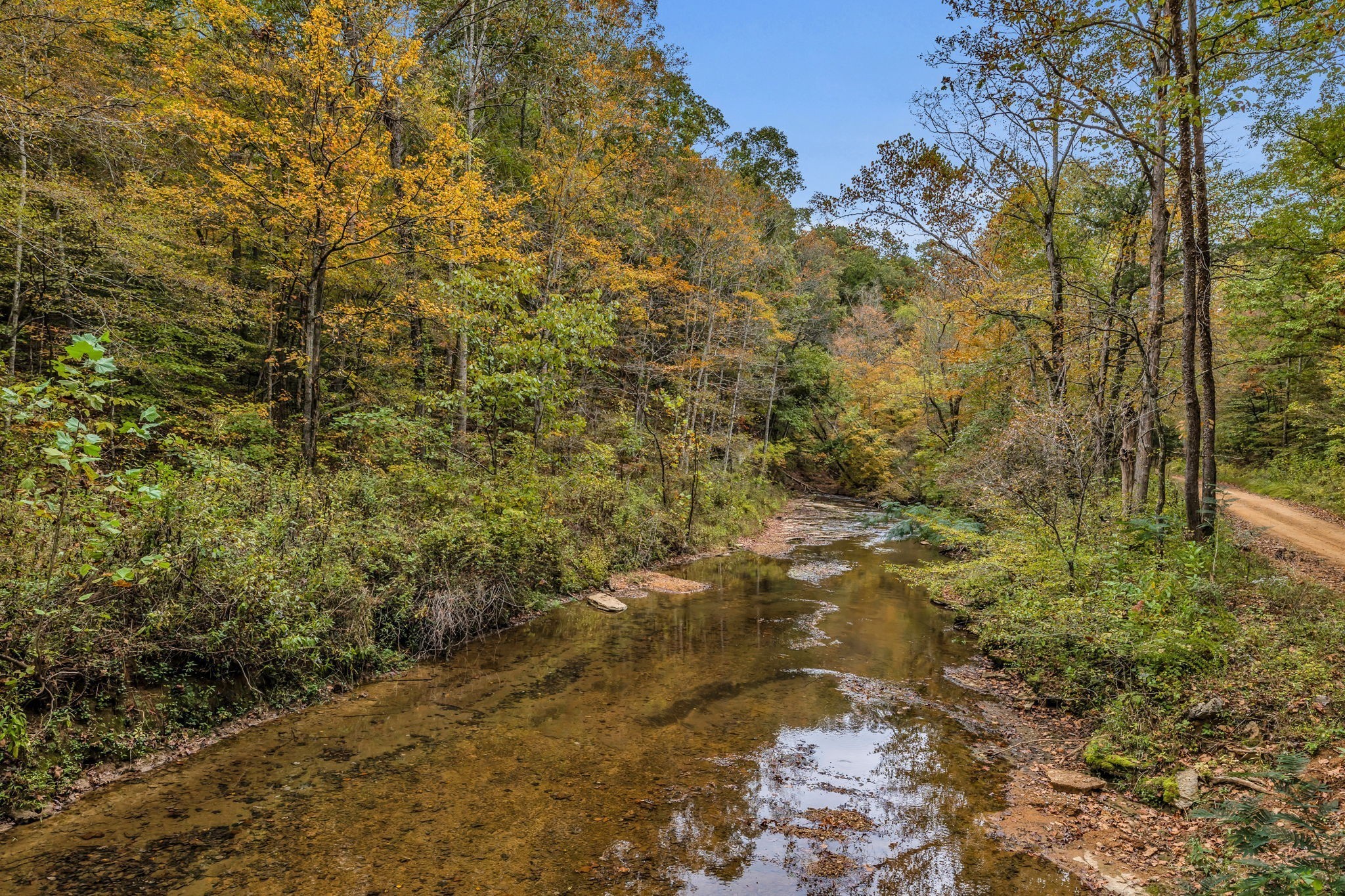 0 Bear Creek Road Bon Aqua, TN 37025 - Photo 59 of 64 a view of a yard