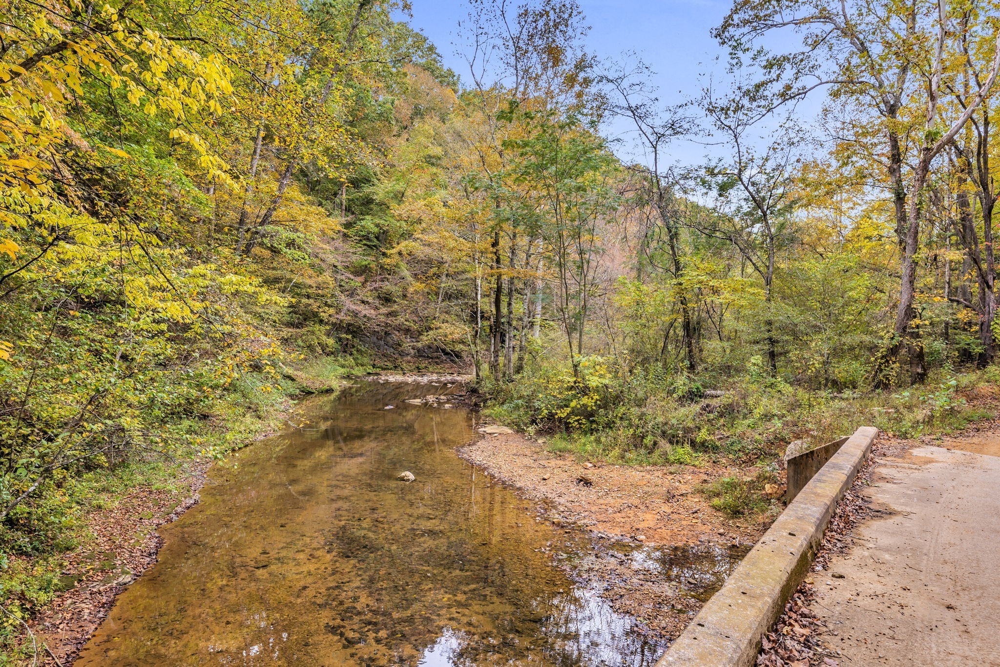 0 Bear Creek Road Bon Aqua, TN 37025 - Photo 60 of 64 a view of a yard with trees