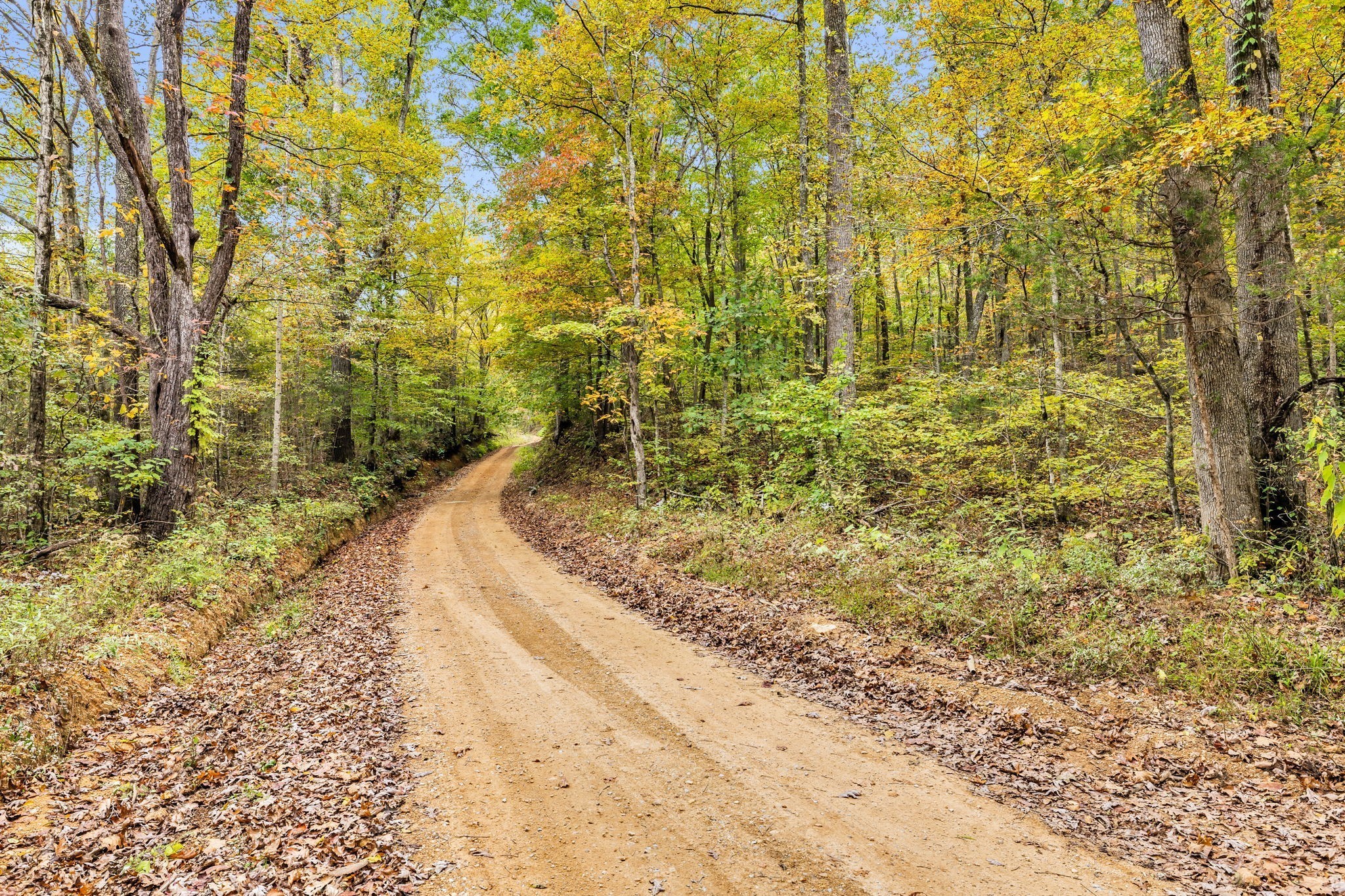 0 Bear Creek Road Bon Aqua, TN 37025 - Photo 62 of 64