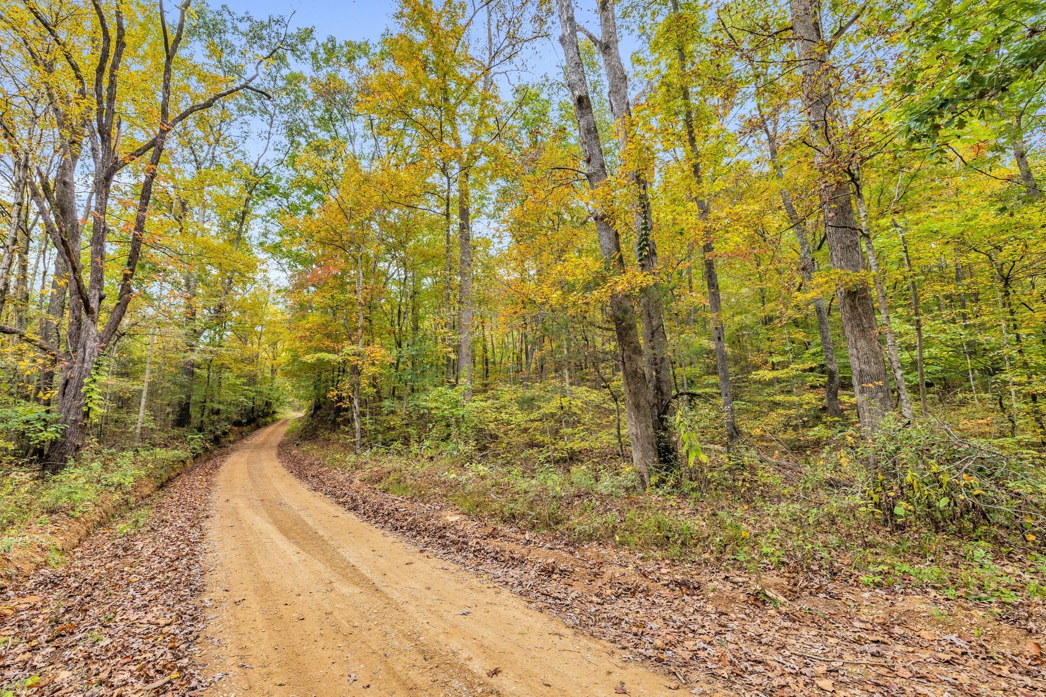0 Bear Creek Road Bon Aqua, TN 37025 - Photo 63 of 64