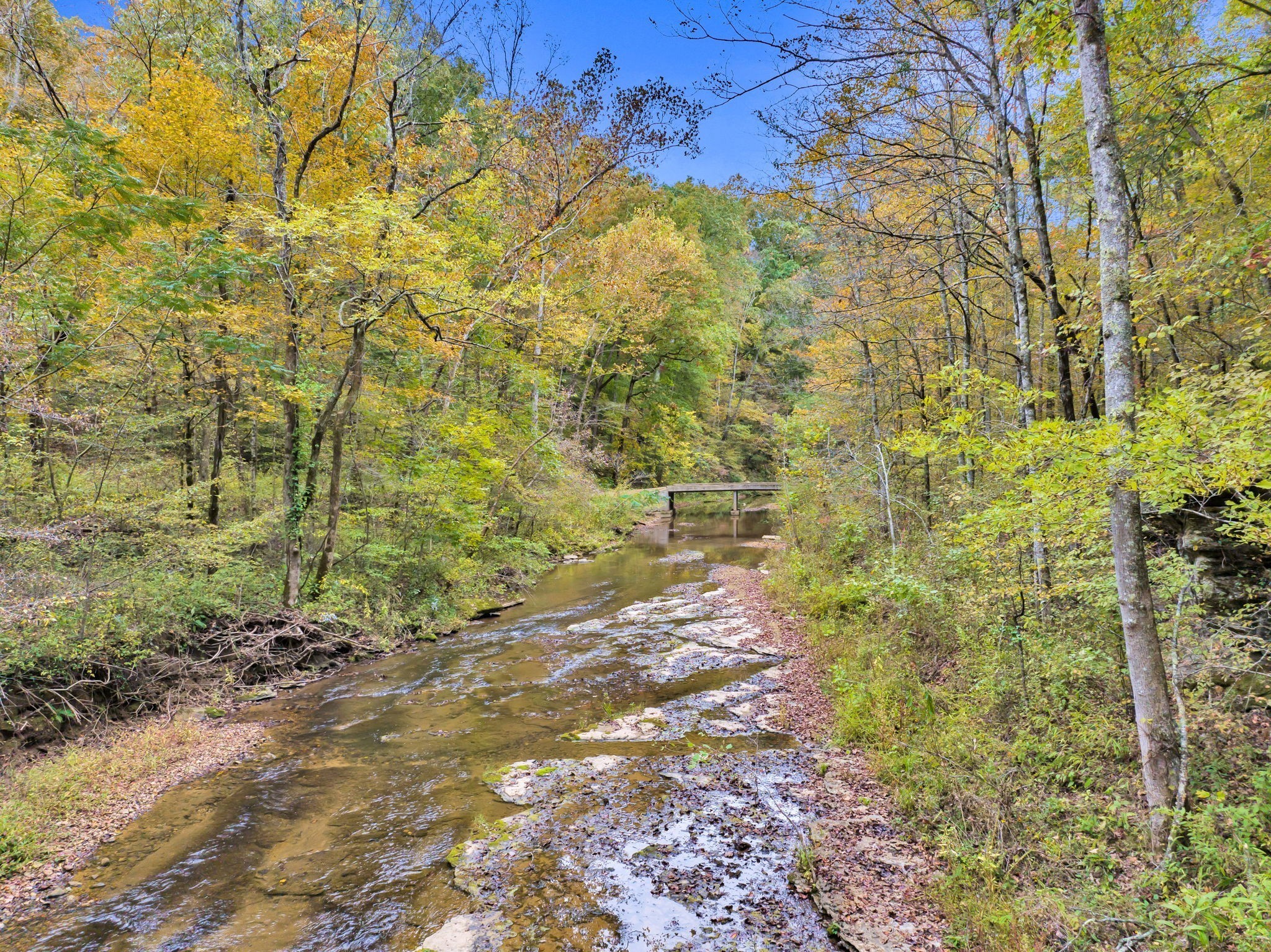 0 Bear Creek Road Bon Aqua, TN 37025 - Photo 8 of 64