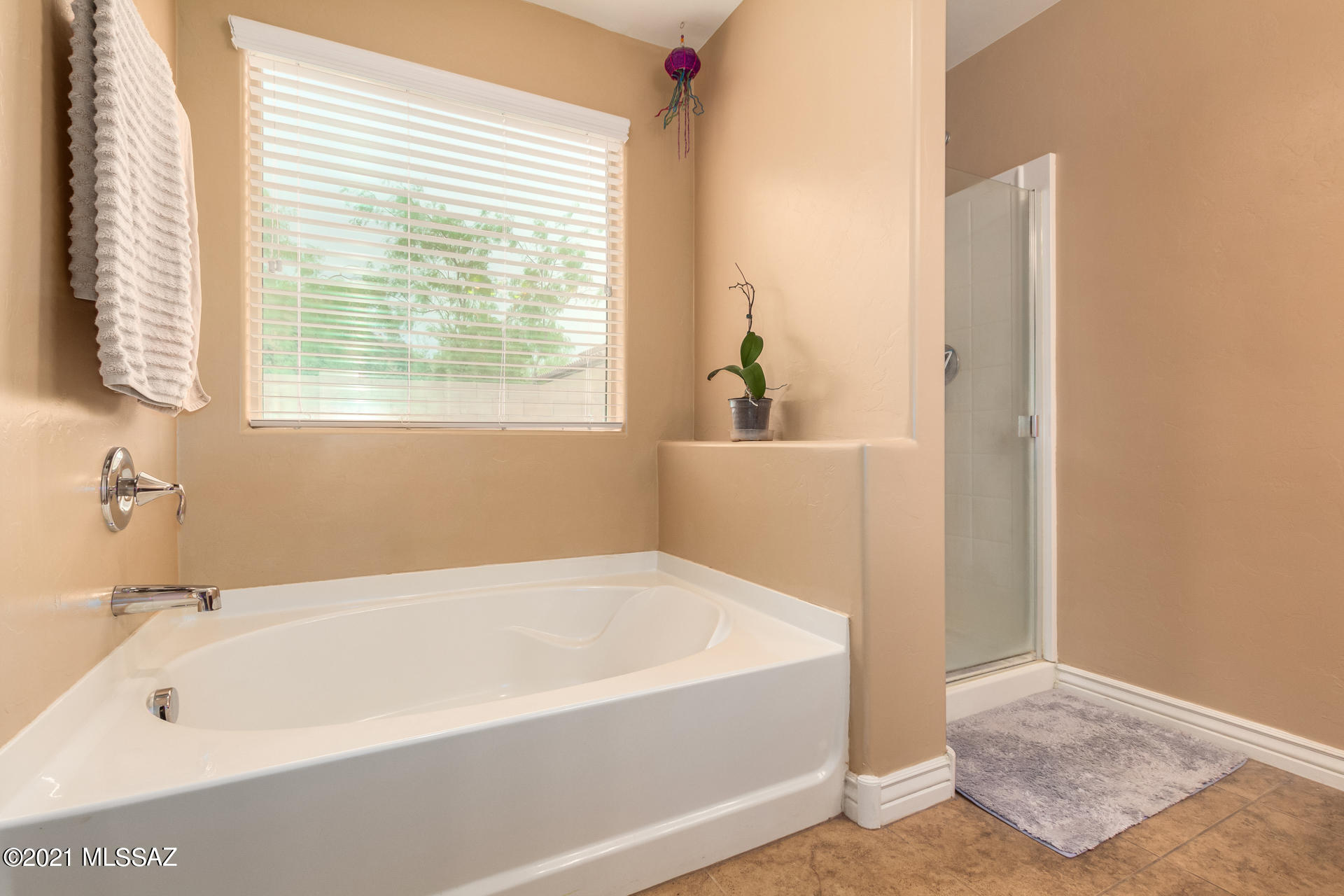 8815 West Moon Spring Road Marana, AZ 85653 - Photo 17 of 28