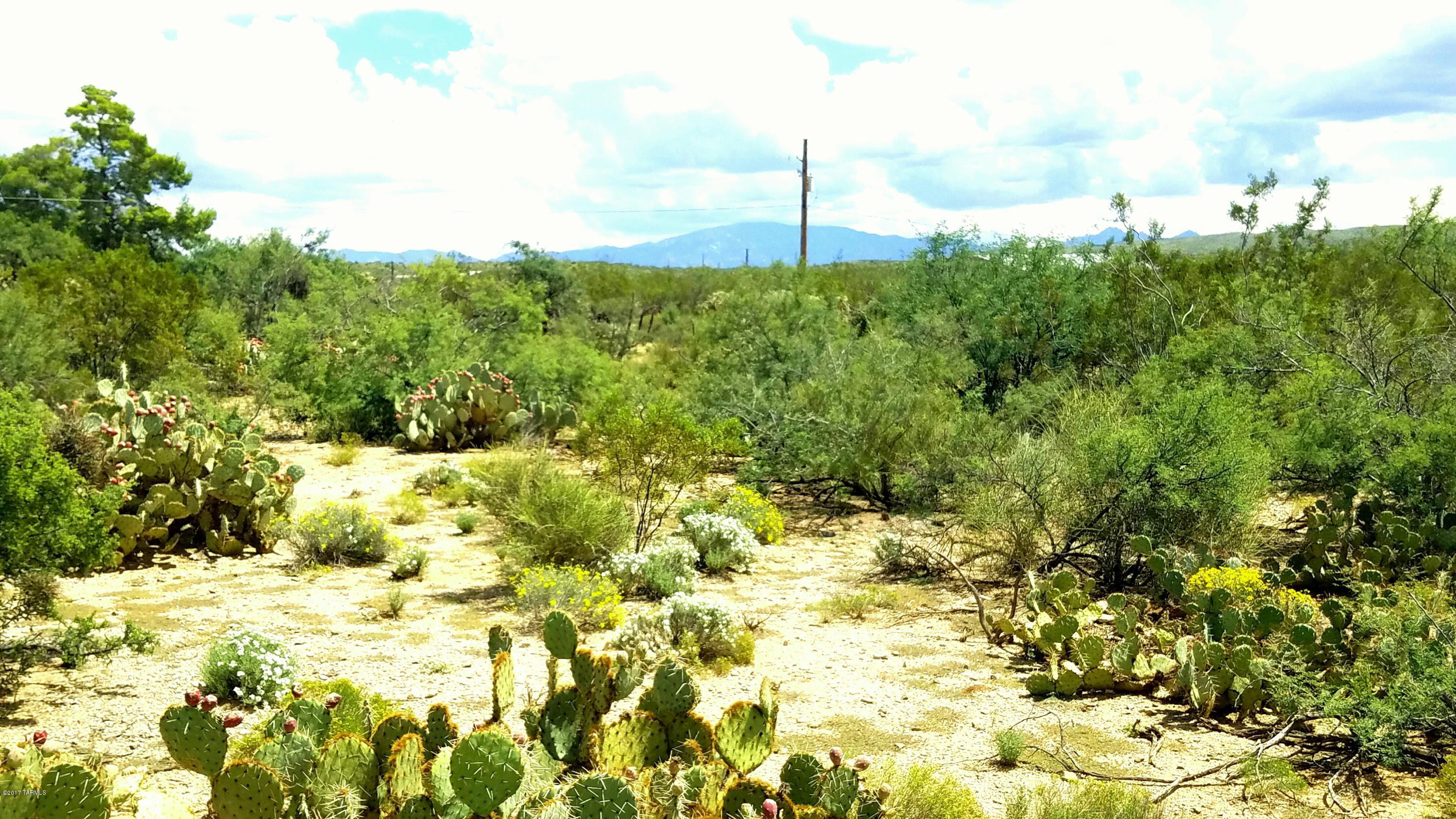 Tbd South Enchanted Valley Road, Unit LOT D Tucson, AZ 85739 - Photo 2 of 5 Gallery Image 2
