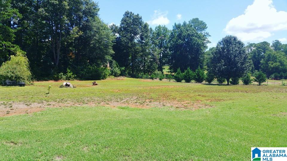 6750 Saks Road Weaver, AL 36277 - Photo 32 of 33