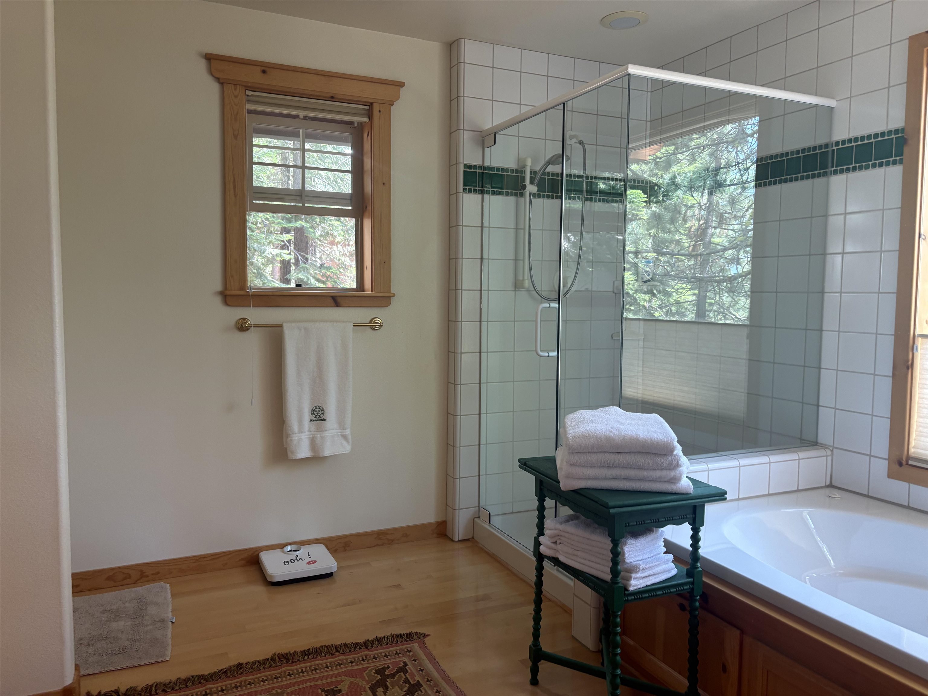 11741 Sitzmark Way Truckee, CA 96161 - Photo 8 of 13