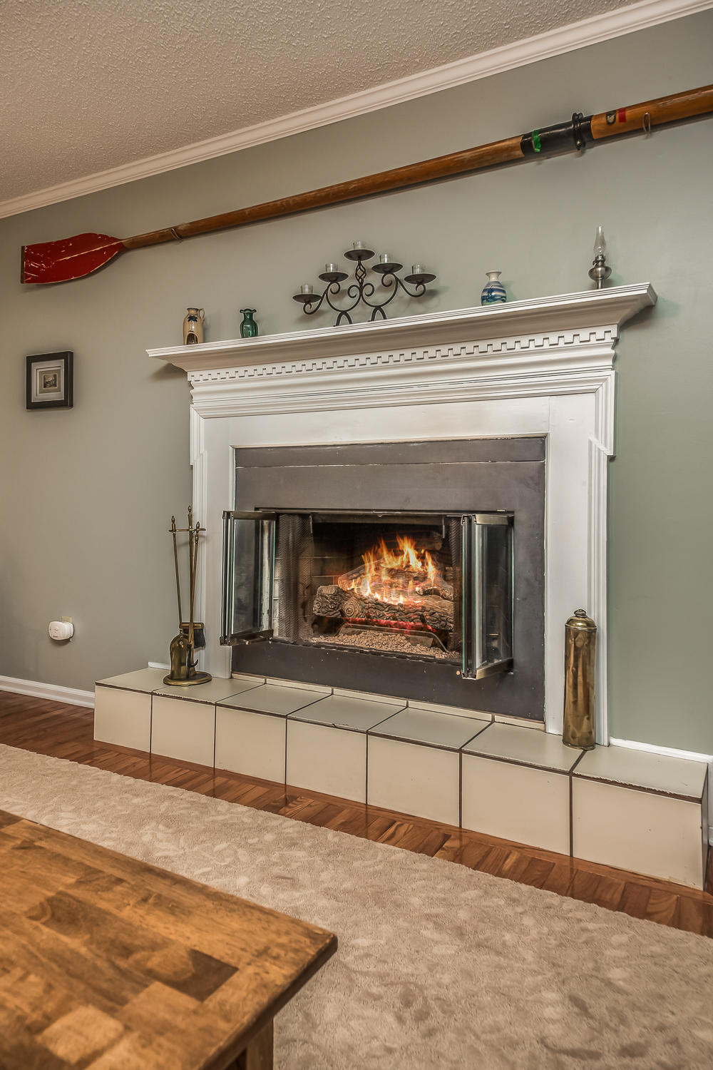 705 Hurricane Ridge Circle Chattanooga, TN 37421 - Photo 15 of 30 Fireplace in Den.jpg